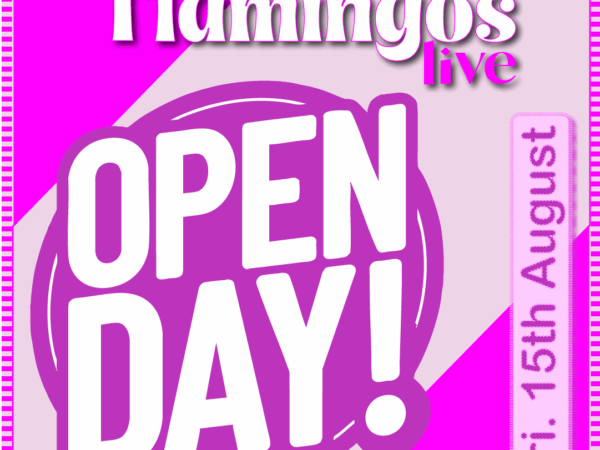 Flamingos Open Day