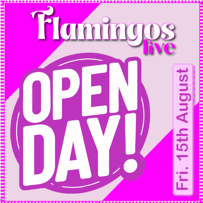 Flamingos Open Day