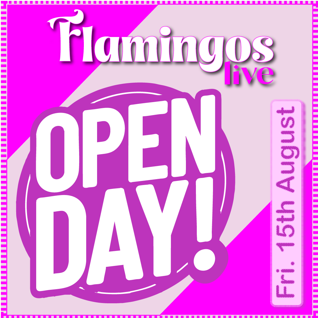 Flamingos Open Day